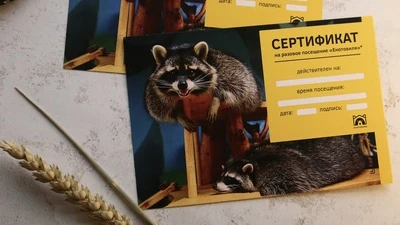 Подарочные сертификаты "Енотовиль"