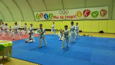 Арион (Спортивная школа)