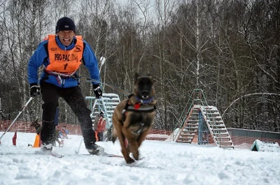 Спорт с собаками в кинологическом центре Ясенево