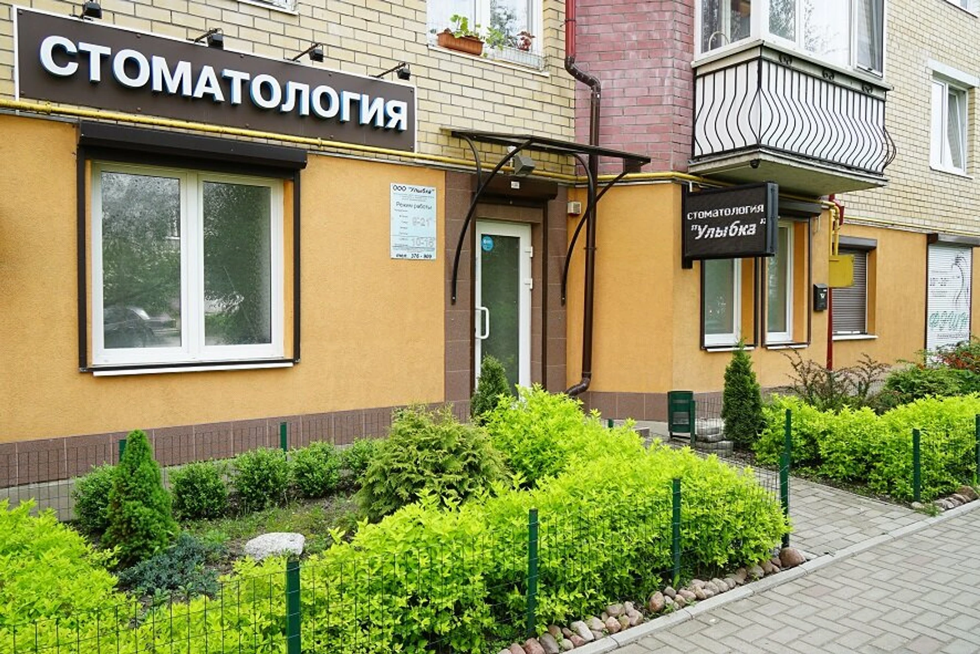Стоматология (Стоматологическая клиника)
