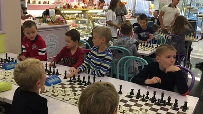 Школа шахмат EduChess, индивидуальные и групповые занятия для детей и взрослых