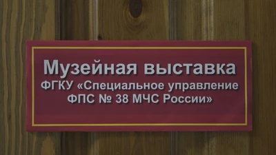 Музейная выставка (Музей)