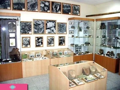 Учебно-научный музей ДВФУ: Музей археологии и этнографии, Зоологический музей, Музей истории ДВФУ, Музей редкой книги во Владивостоке 