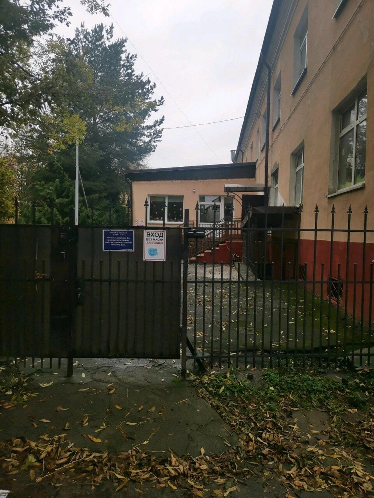 Детский сад № 47 (Детский сад, ясли )