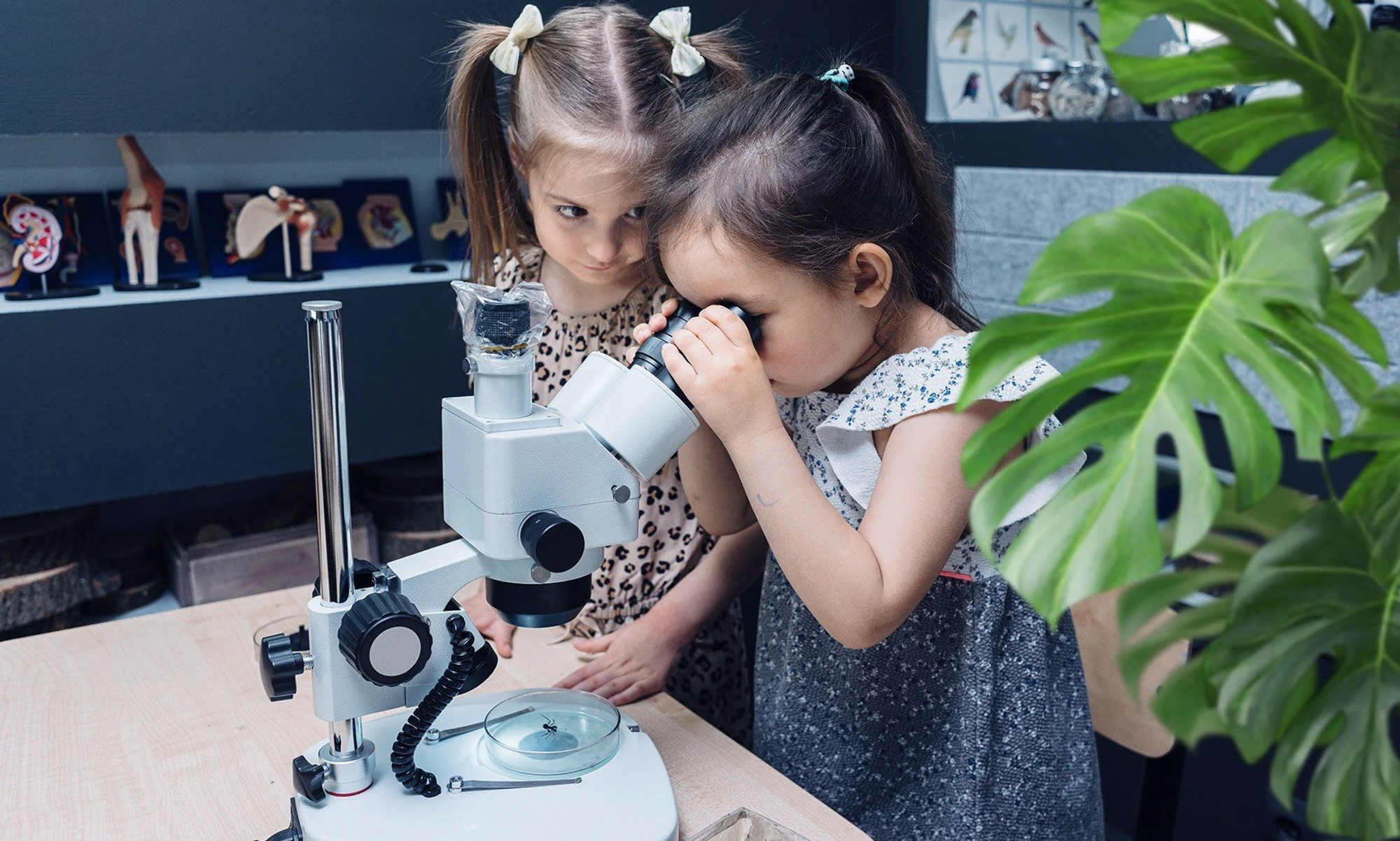 ЭКОсад в долине МГУ для пытливых изобретателей в "Талантвилле"