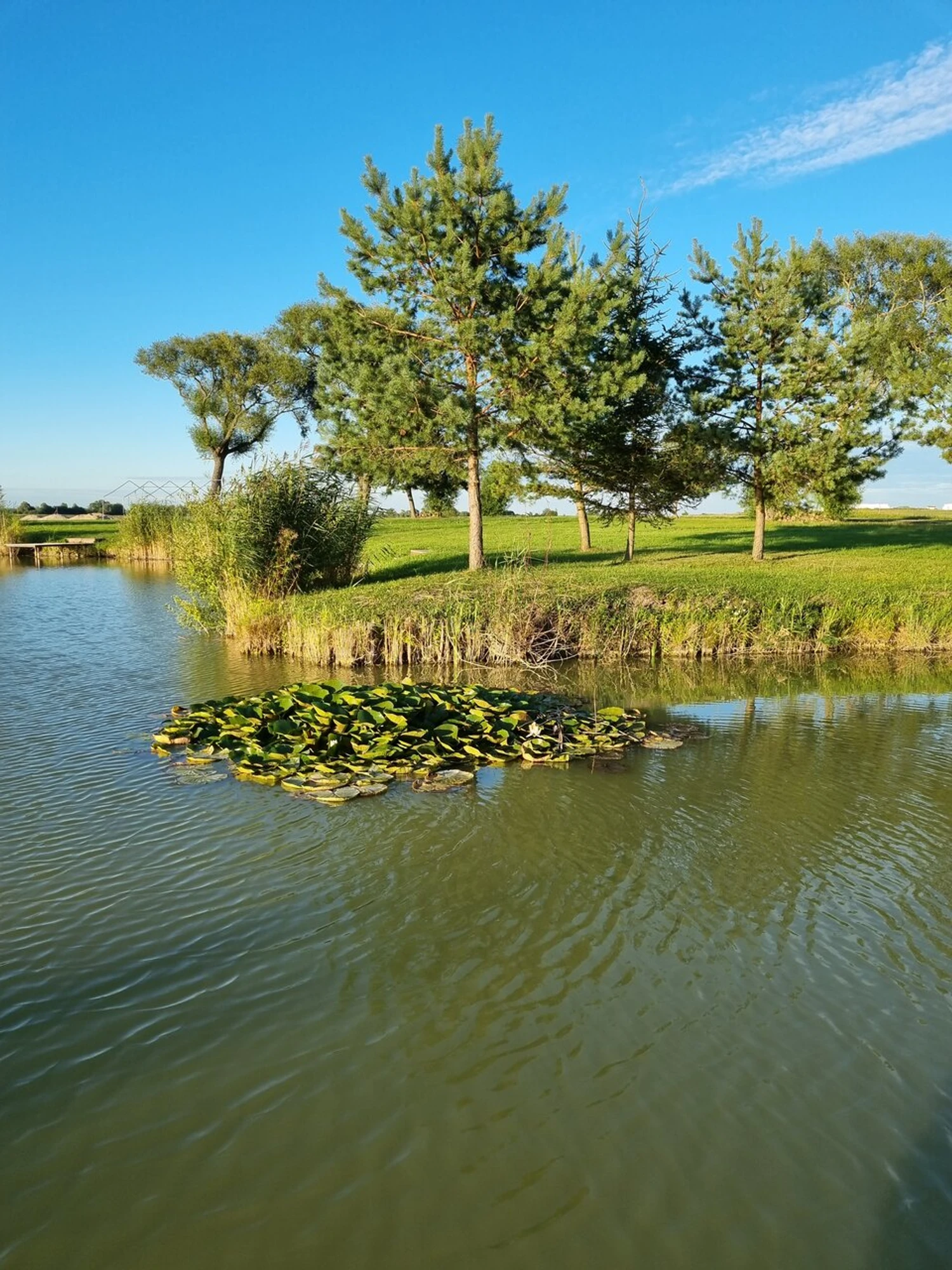 Lama Park (Кемпинг)