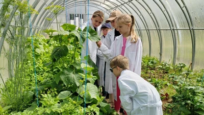 "МИР", частная школа и детский сад