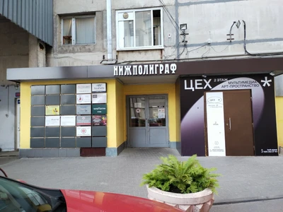 Volga Athletics (Спортивный клуб, секция )