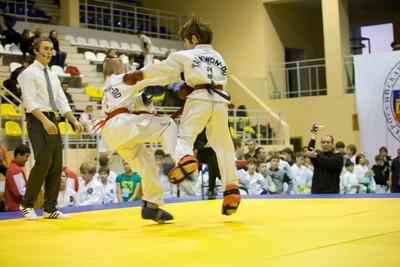 Клуб Тхэквондо МФТ Максимум (Спортивный клуб, секция )