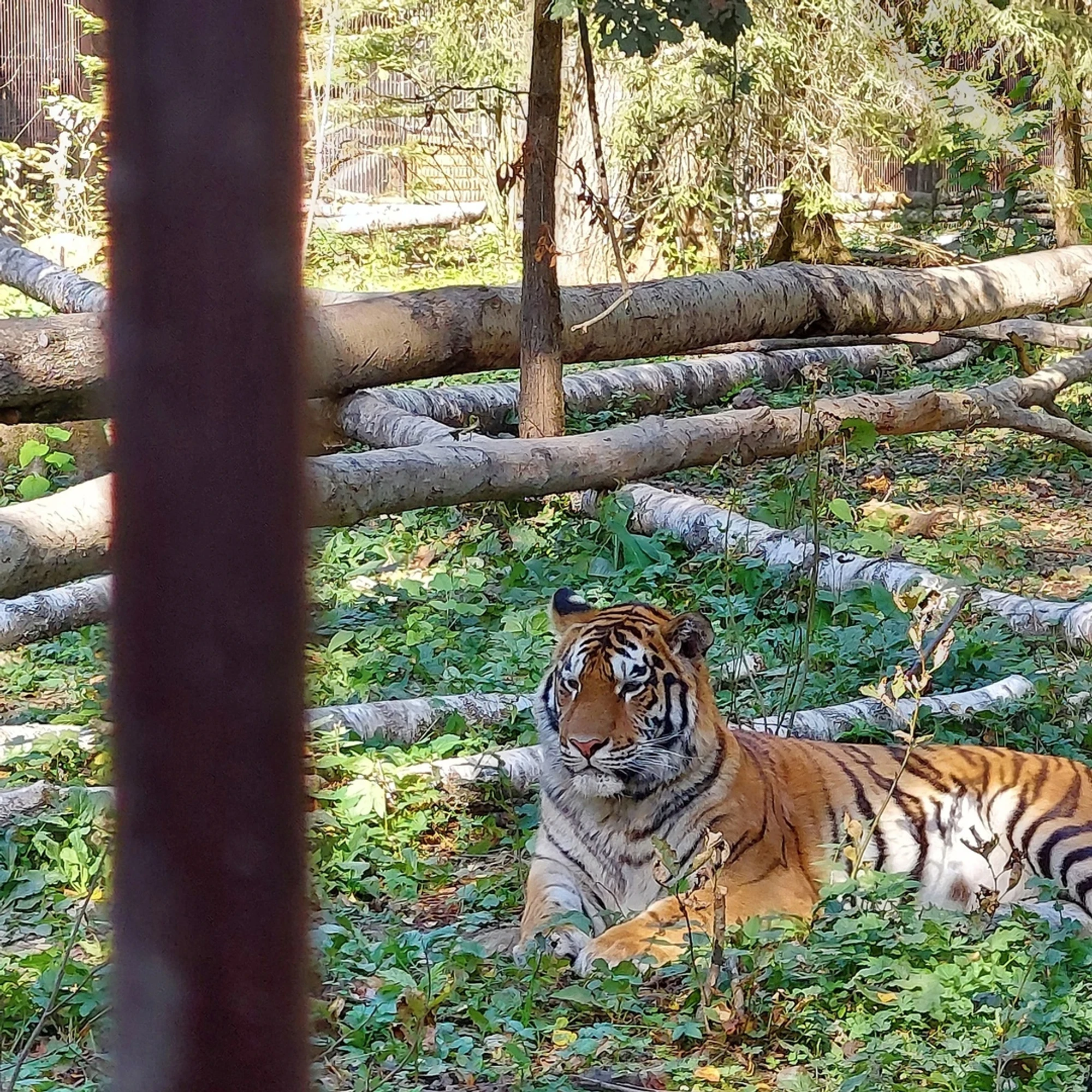 Фото: safaripark50.ru