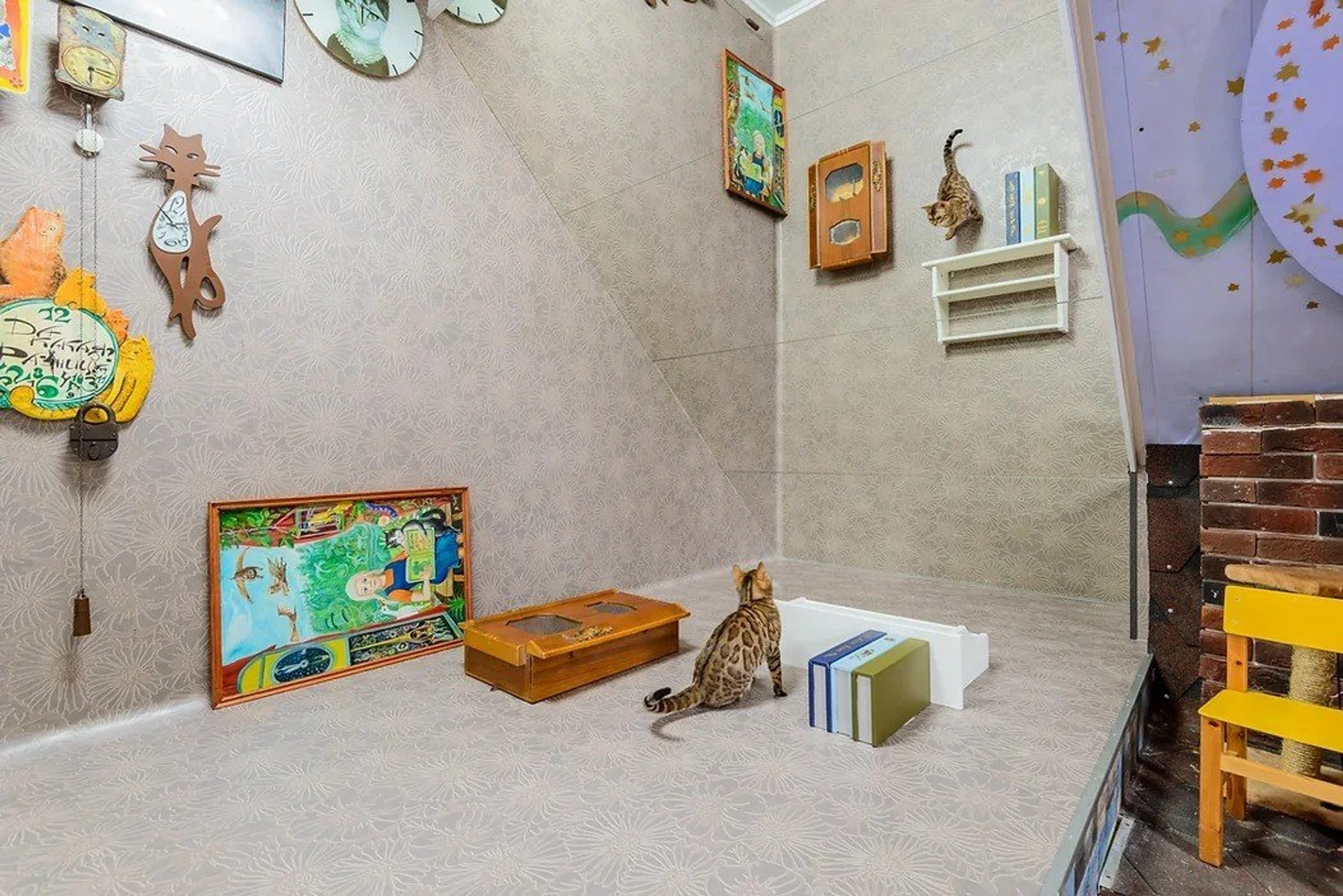 Фото:&nbsp;catmuseum.ru