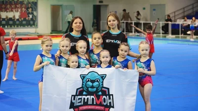 Детская спортивная школа "Чемпион" (р-н Уктус, Ботаника)