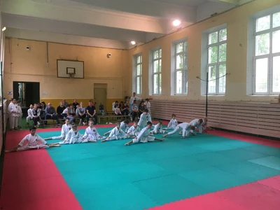 Сэнси-До (Спортивный клуб, секция )