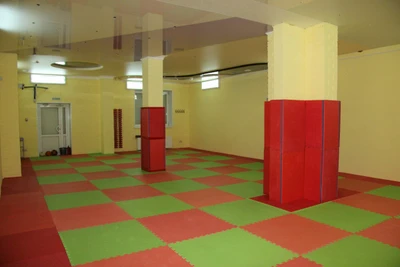 Южно-Уральская федерация русского рукопашного боя (Спортивный клуб, секция )