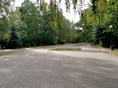 сквер Бориса Видяева (Сквер )