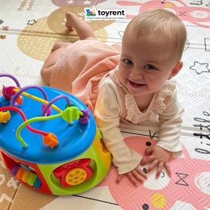 "Той Рент", Toyrent.ru, онлайн-сервис аренды игрушек в Москве 