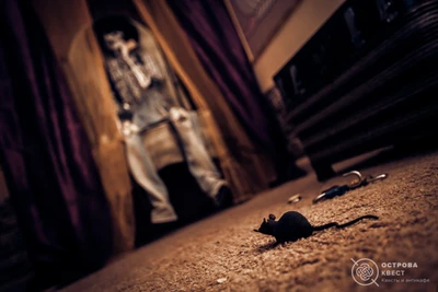 Острова (Квесты)