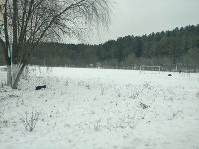 Металлист (Стадион)