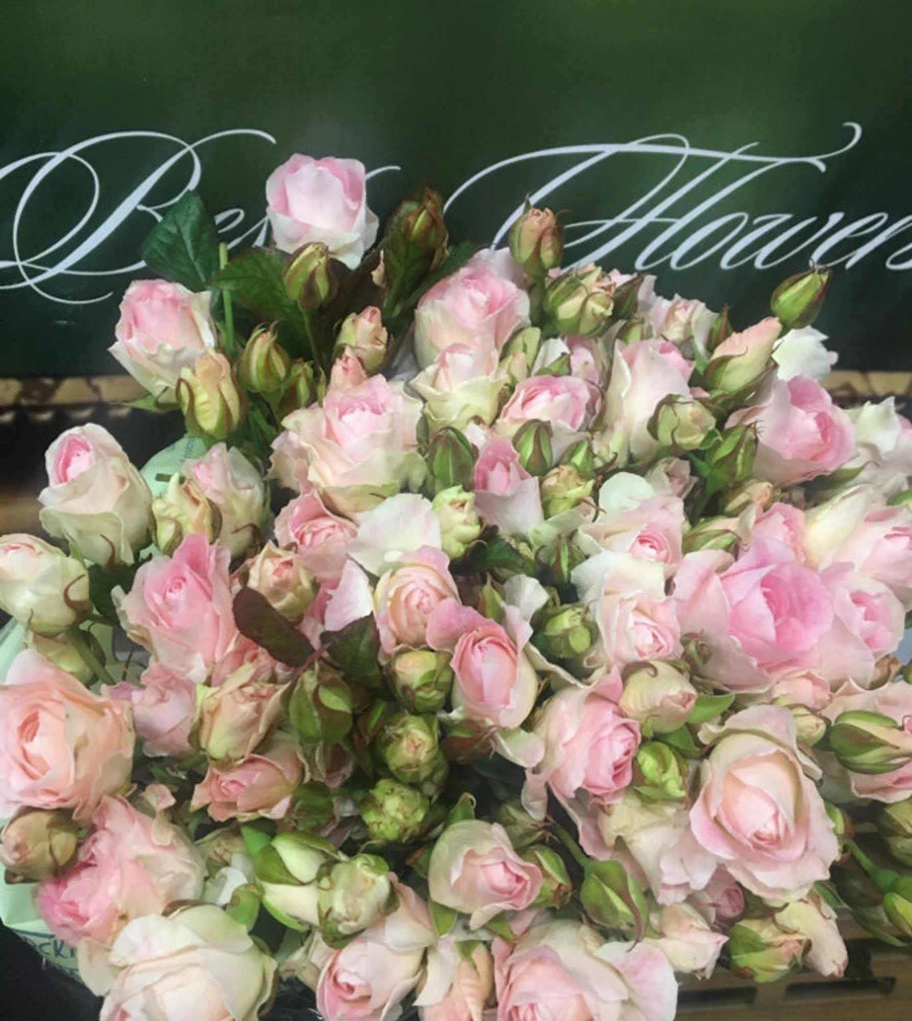 BestFlowers (Оптовая компания )
