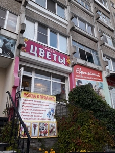 Лучше всех (Спа-салон)