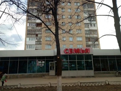 Семья (Детские игрушки и игры )