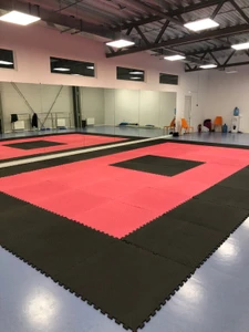 Союз (Спортивный клуб, секция)