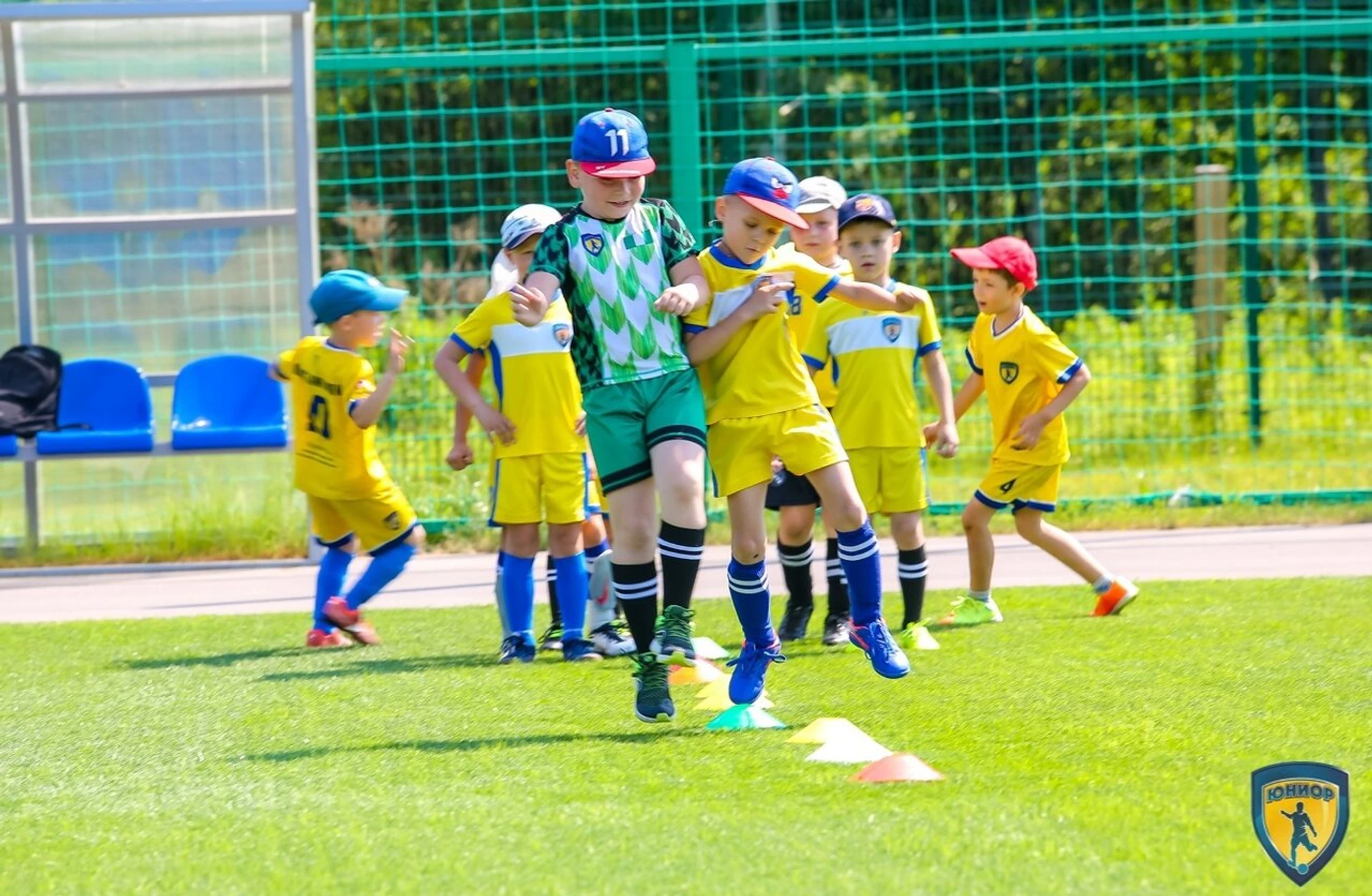 Юниор (Спортивный клуб, секция)