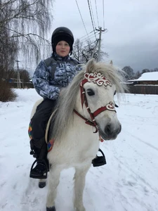 Лошади и мы (Конный клуб)