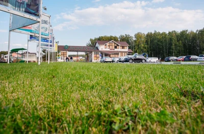 Лесной Остров (Медцентр, клиника)