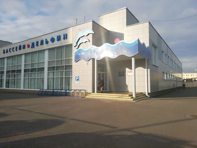 Дельфин (Бассейн)