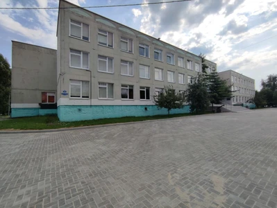 Янтарный Дракон (Спортивный клуб, секция)