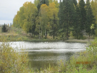 Пляж (Пляж)