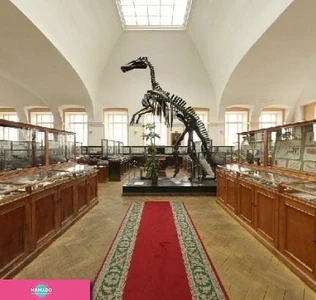 Геологоразведочный музей, Центральный научно-исследовательский геологоразведочный музей имени академика Ф. Н. Чернышева, музей ЦНИГР, СПб 