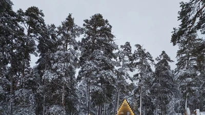 Глэмпинг «Лесная усадьба»