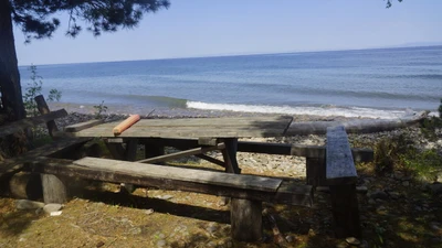 Лесопитомник (Турбаза)