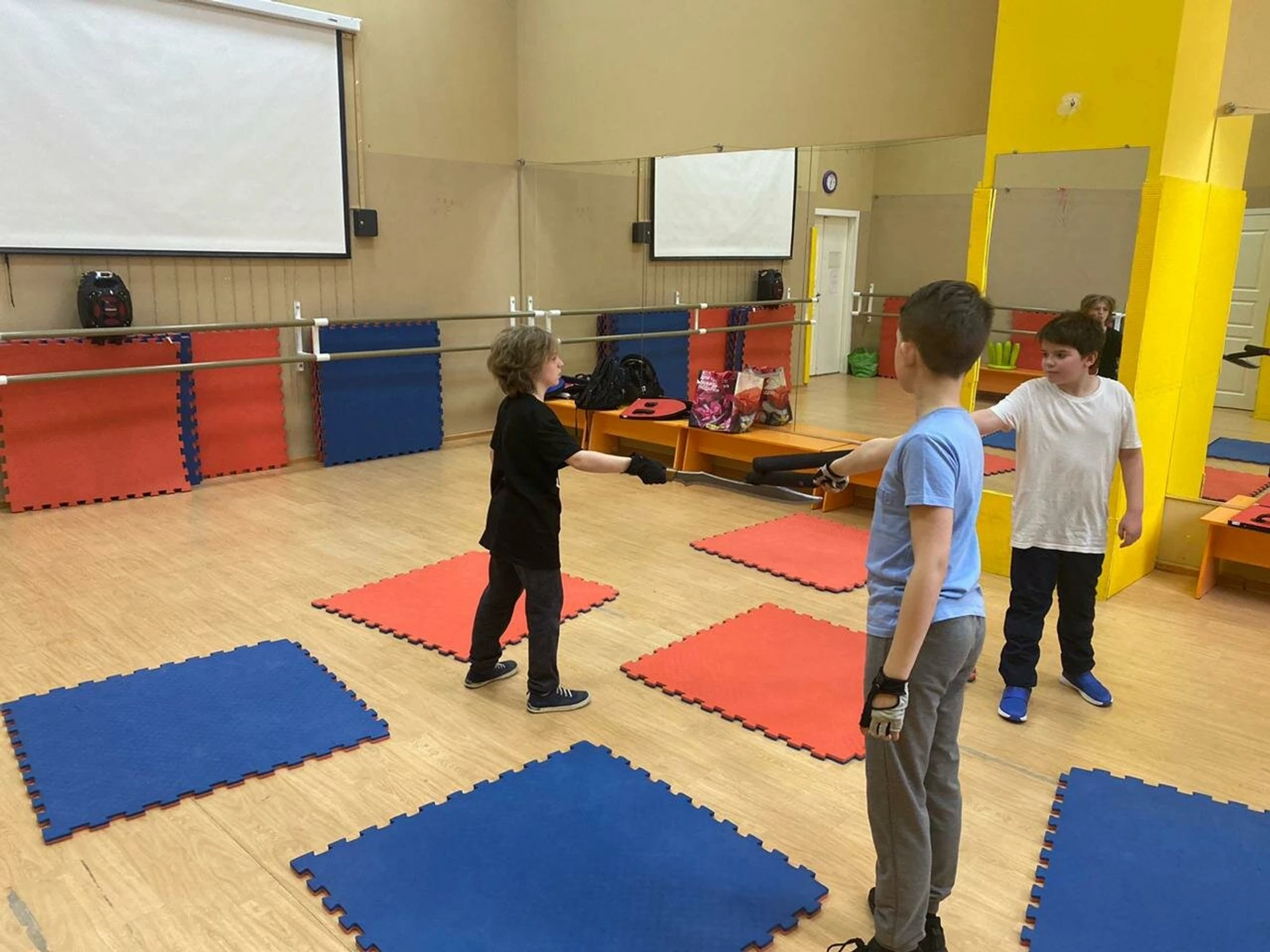 Федерация фехтования на мечах (Спортивное объединение )