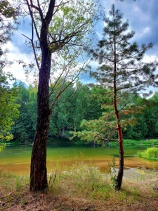 Тёша (Турбаза )