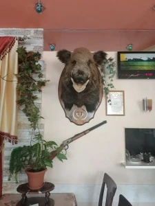 Лидер (Кафе )