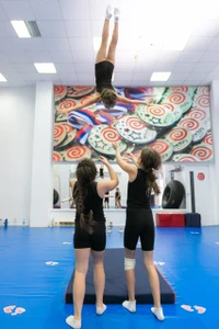 Вирлигиг (Спортивный клуб, секция )