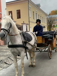 Красный бор (Конный клуб)