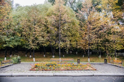 Сегрида (Медцентр, клиника)