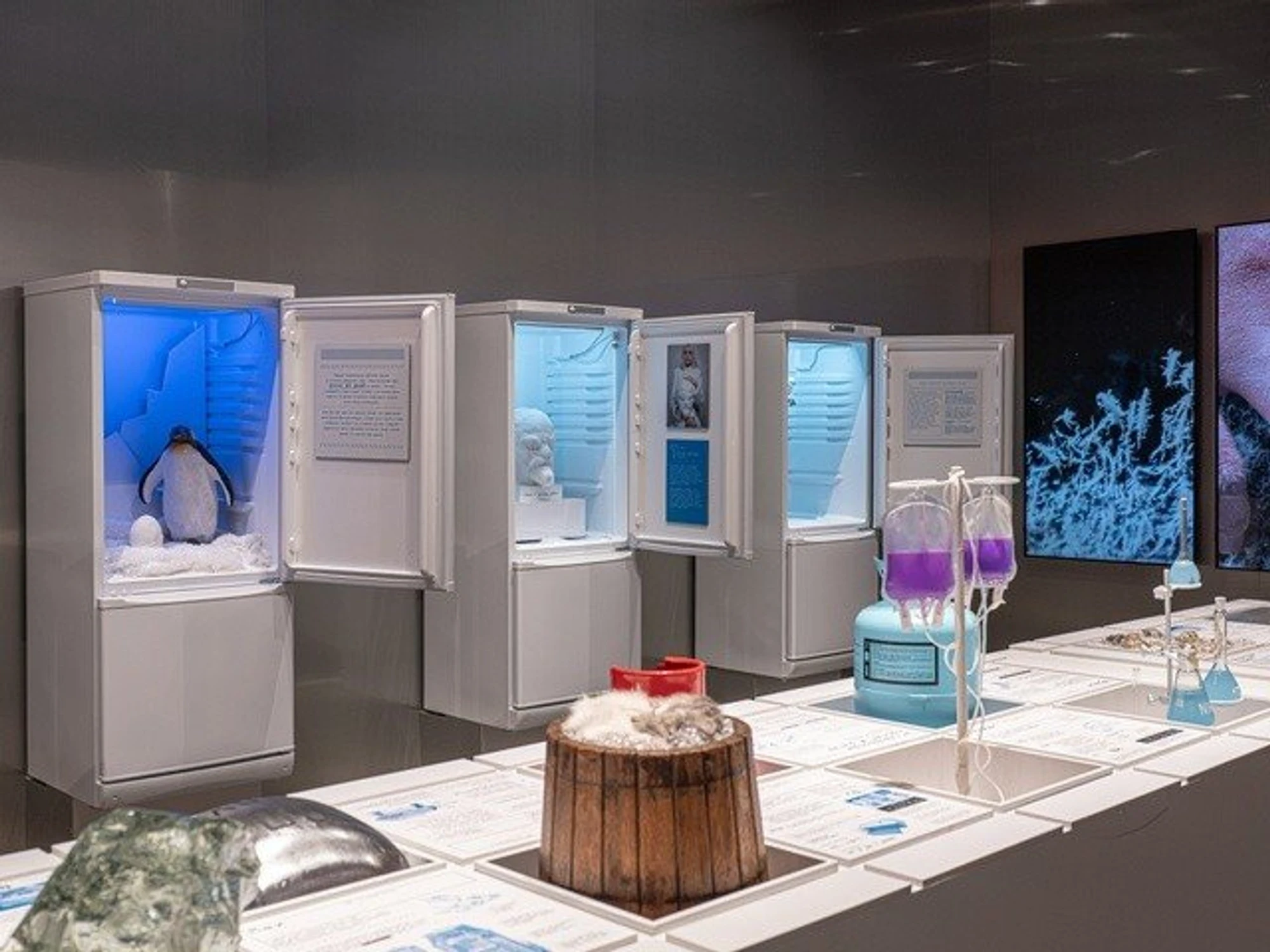 Источник фото:&nbsp;vk.com/ice_expo