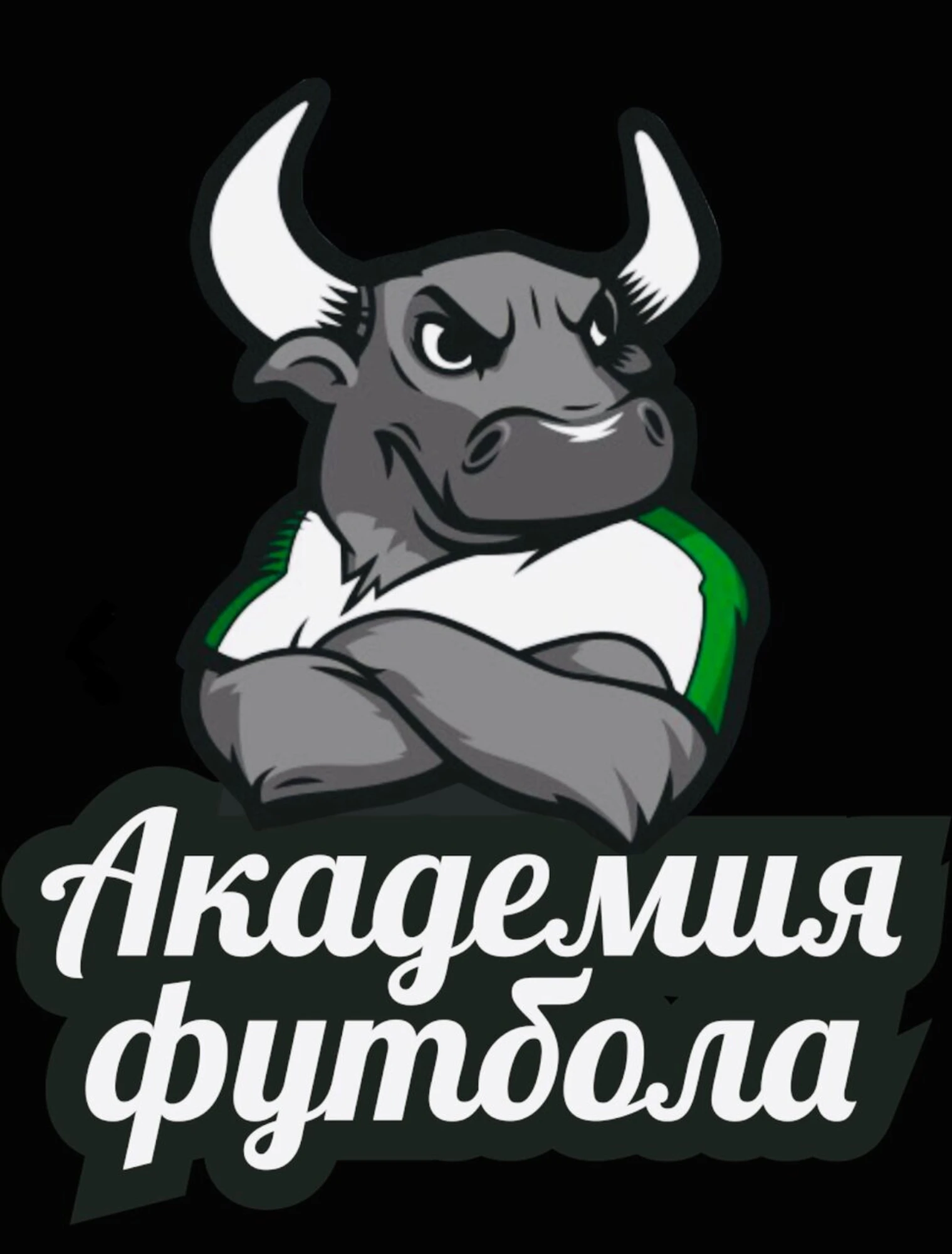 Академия футбола (Спортивная школа )