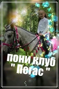 Пегас (Конный клуб)