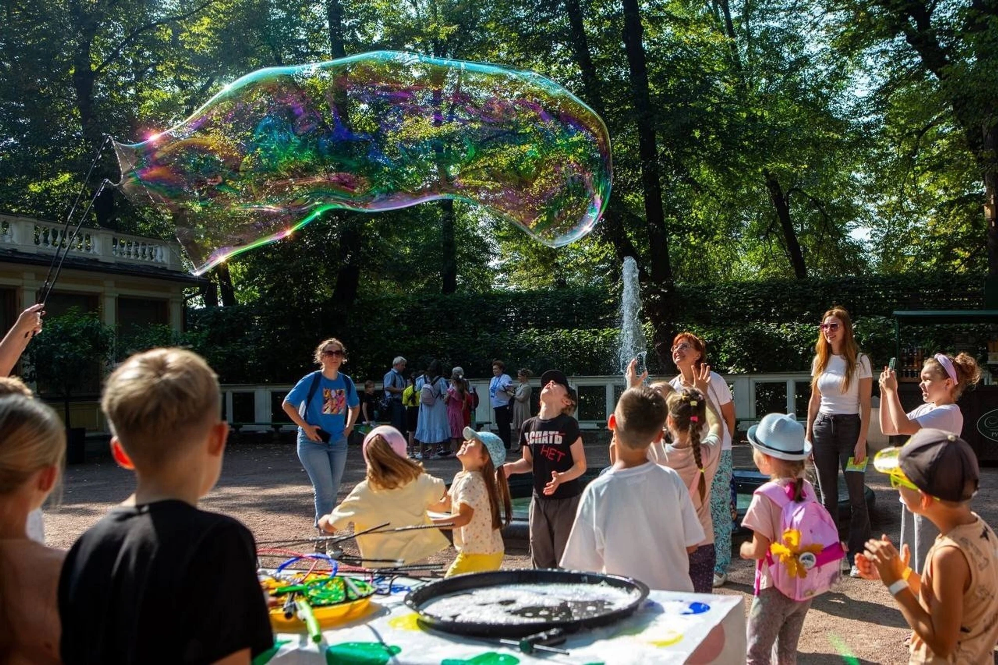 Источник: vk.com/rusmuseum.gardens/Олег Золото