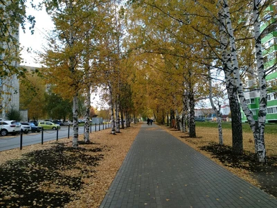 аллея Ветеранов (Парк культуры и отдыха )