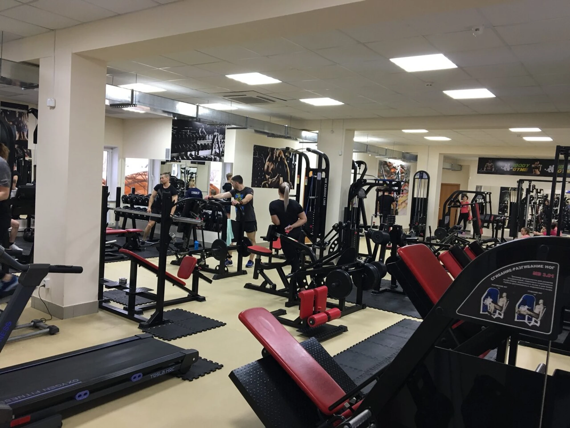 Body Gym (Спортивный, тренажёрный зал )