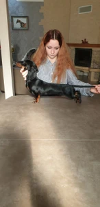 Zimerbude (Питомник животных)