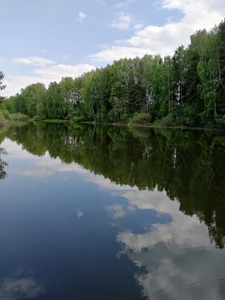 Пляж (Пляж)