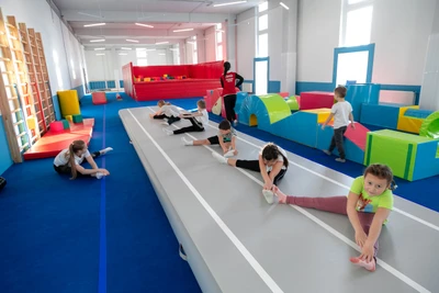 Гимнастик (Спортивный клуб, секция )